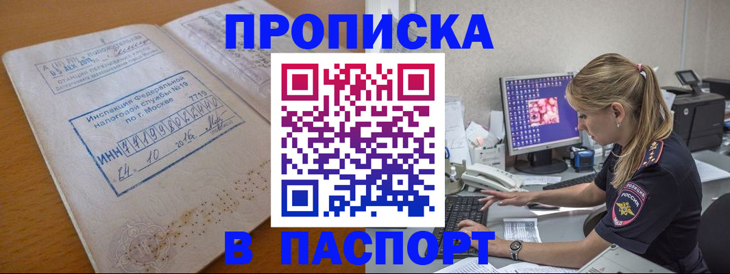прописка в Сольцах